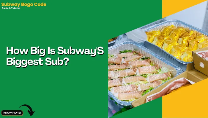 How Big Is Subway'S Biggest Sub?